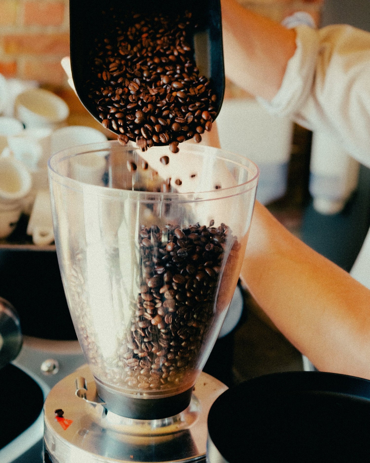 Kaffeebohnen werden in die Mühle gefüllt