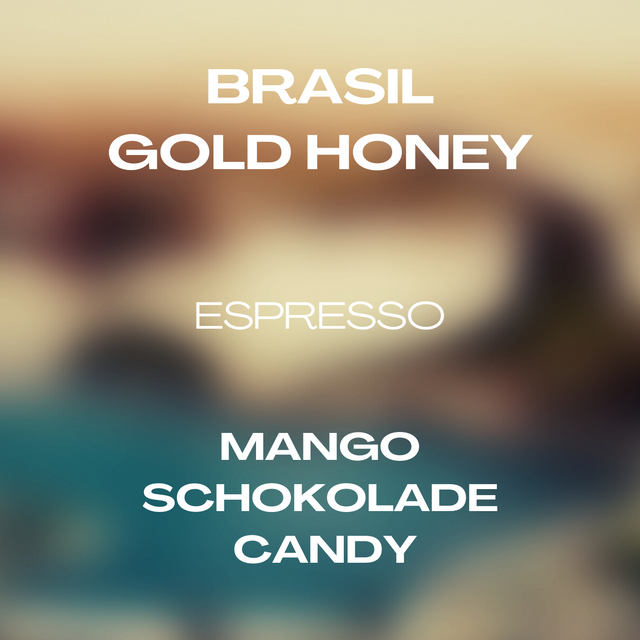 Brasil - Gold Honey