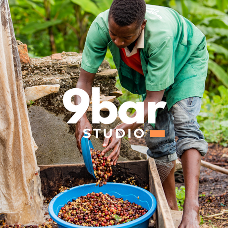 Ruanda Bourbon - Coocamu