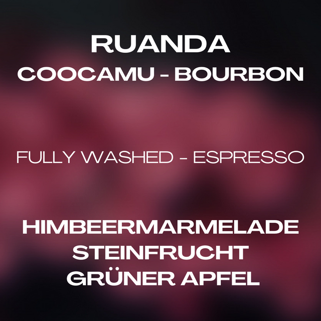 Ruanda Bourbon - Coocamu
