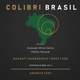 Colibri - Brasilien