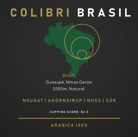 Colibri - Brasilien